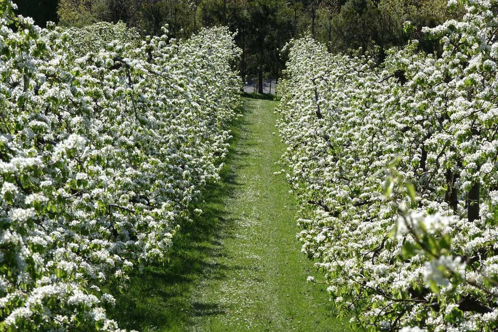 The Pear Orchard Lodge ريتشمند المظهر الخارجي الصورة