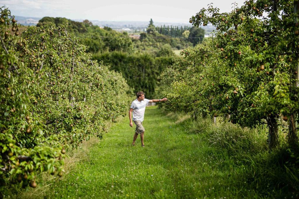 The Pear Orchard Lodge ريتشمند المظهر الخارجي الصورة